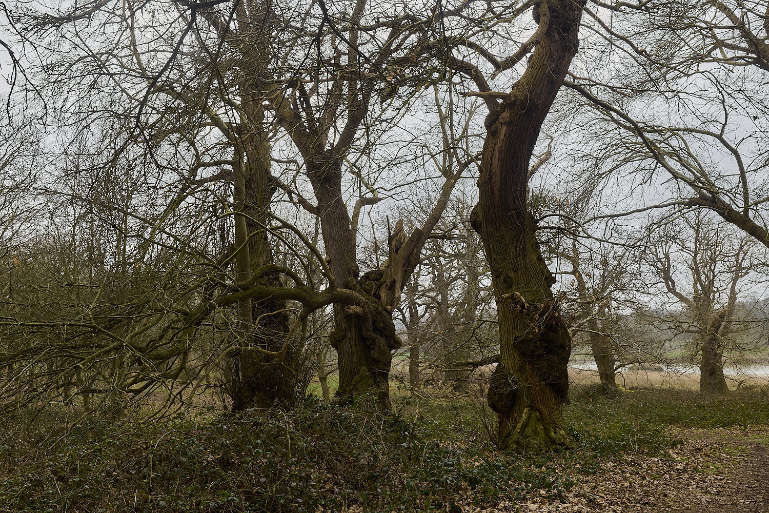 Blickling040326-2