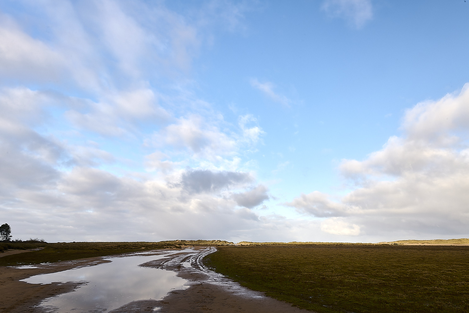 Holkham110125-2