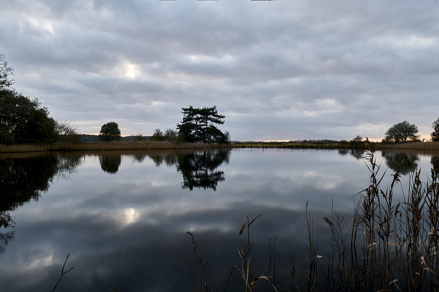 Holkham110126-9