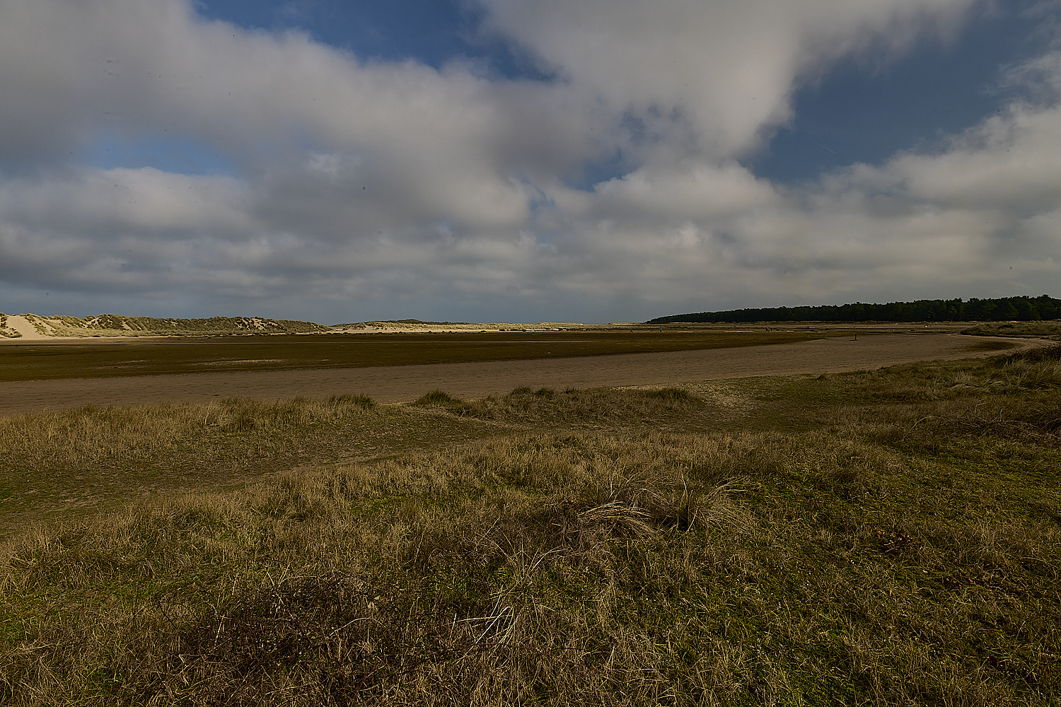 Holkham250226-1