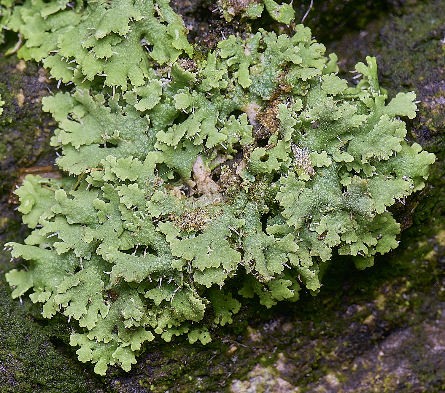 HolkhamPadscenden110126-2