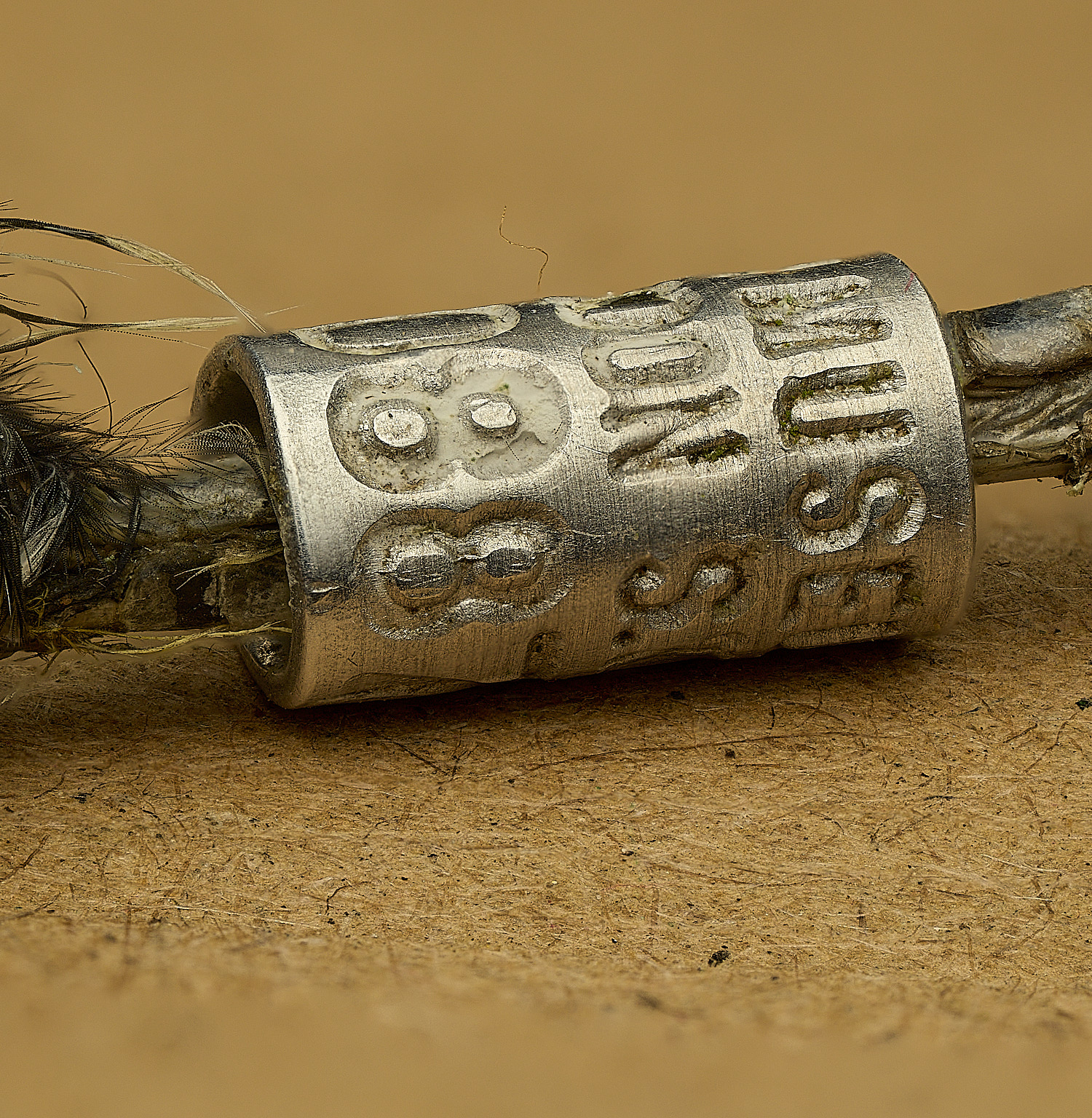 HoughtonBirdRing080226-2