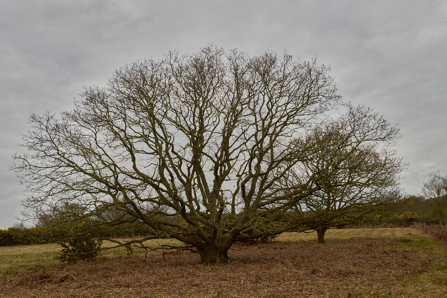 SalthouseHeath310326-1