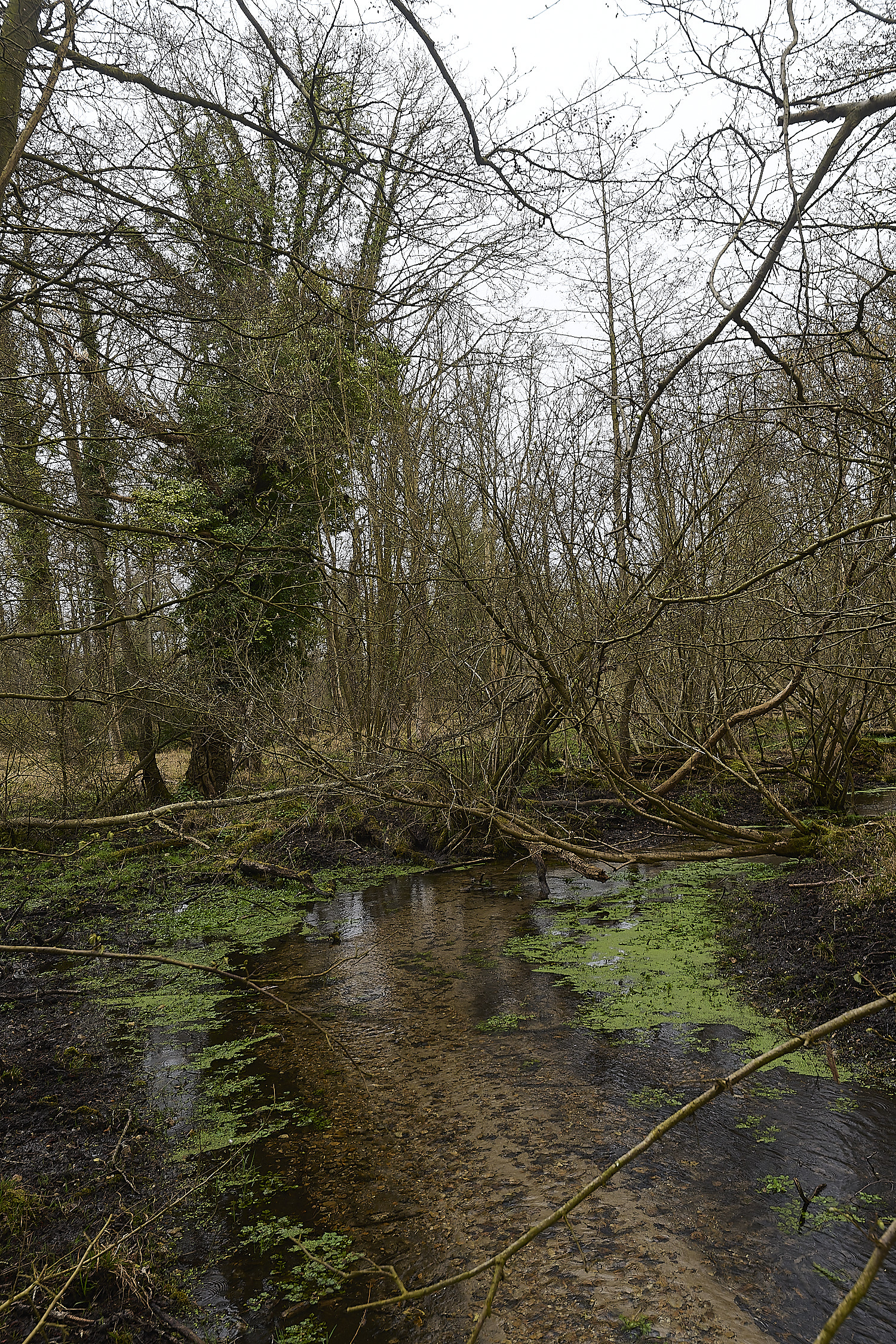 TheNarboroughs290326-11