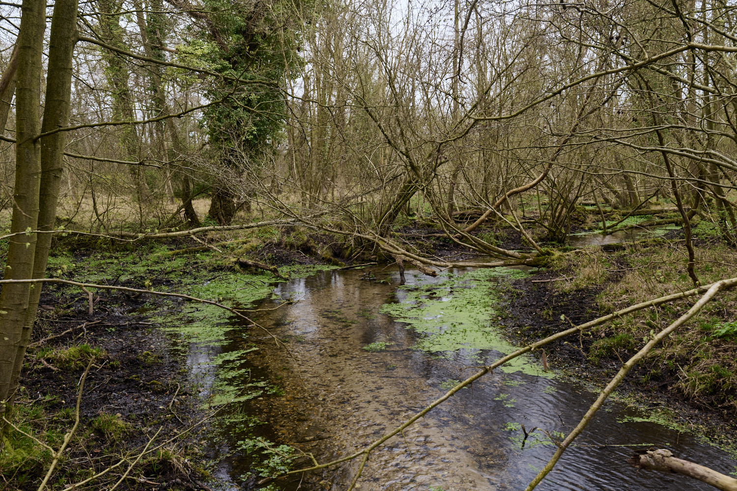 TheNarboroughs290326-12