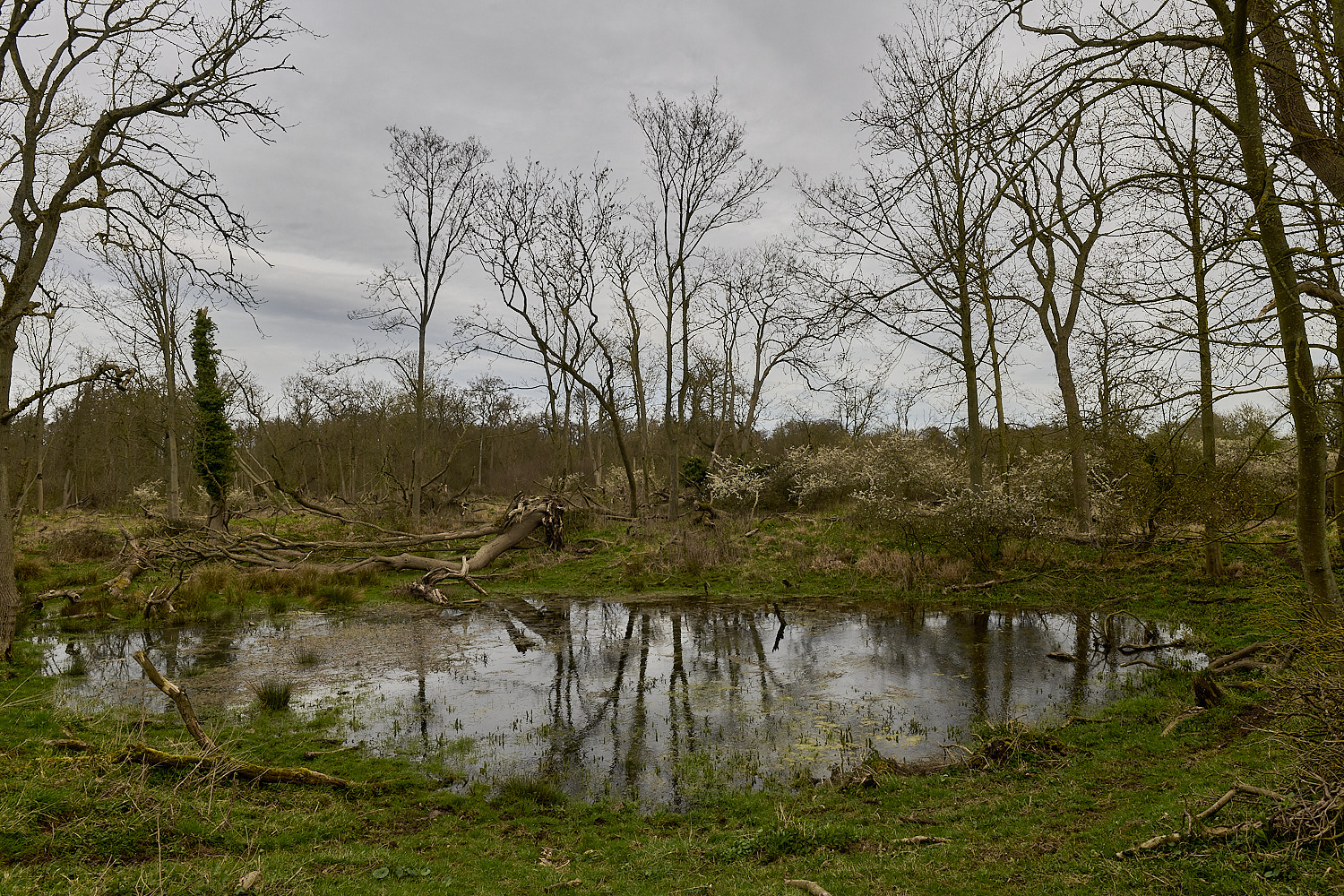 TheNarboroughs290326-3