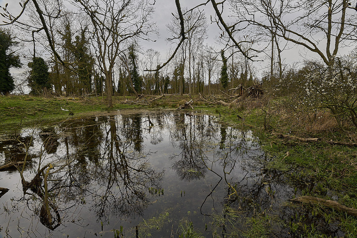 TheNarboroughs290326-4