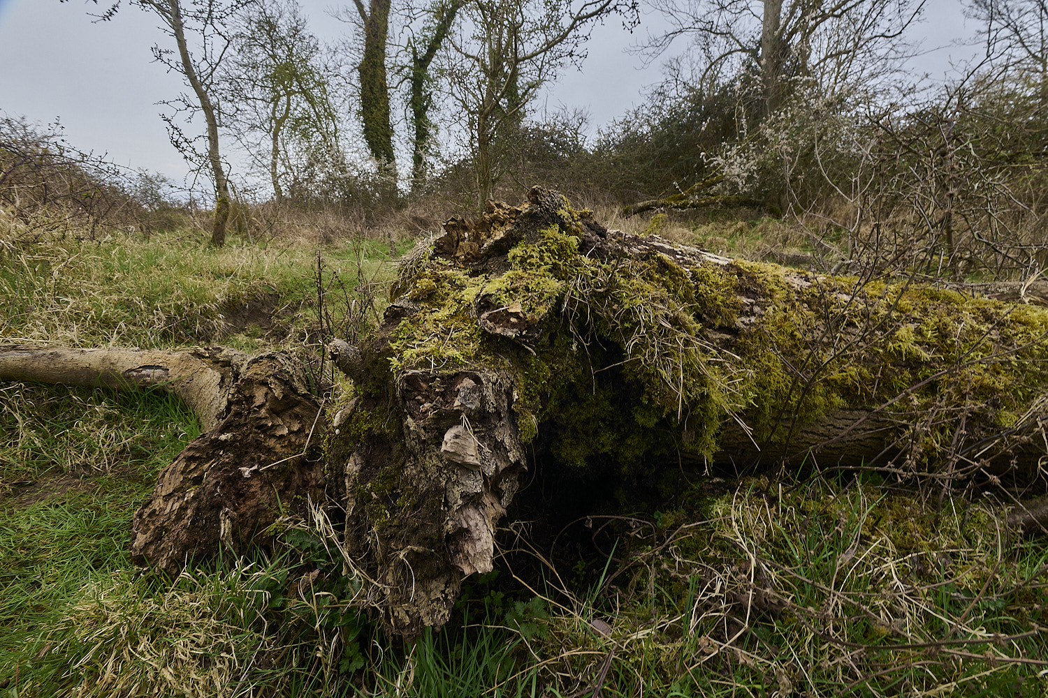 TheNarboroughs290326-6