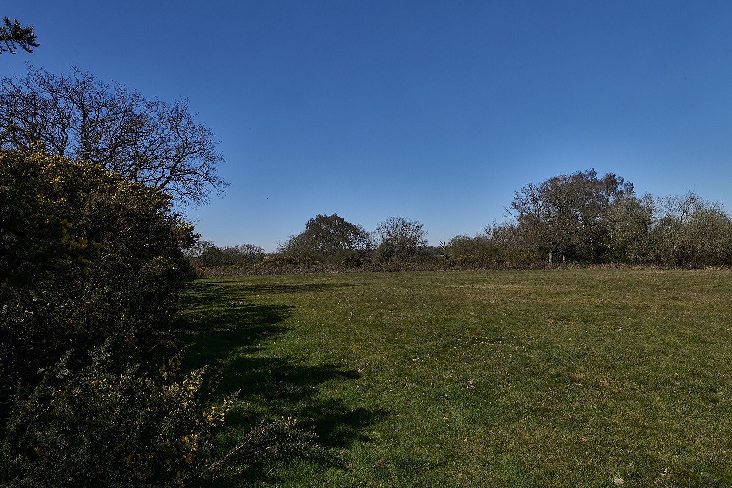 AbelHeath070426-1