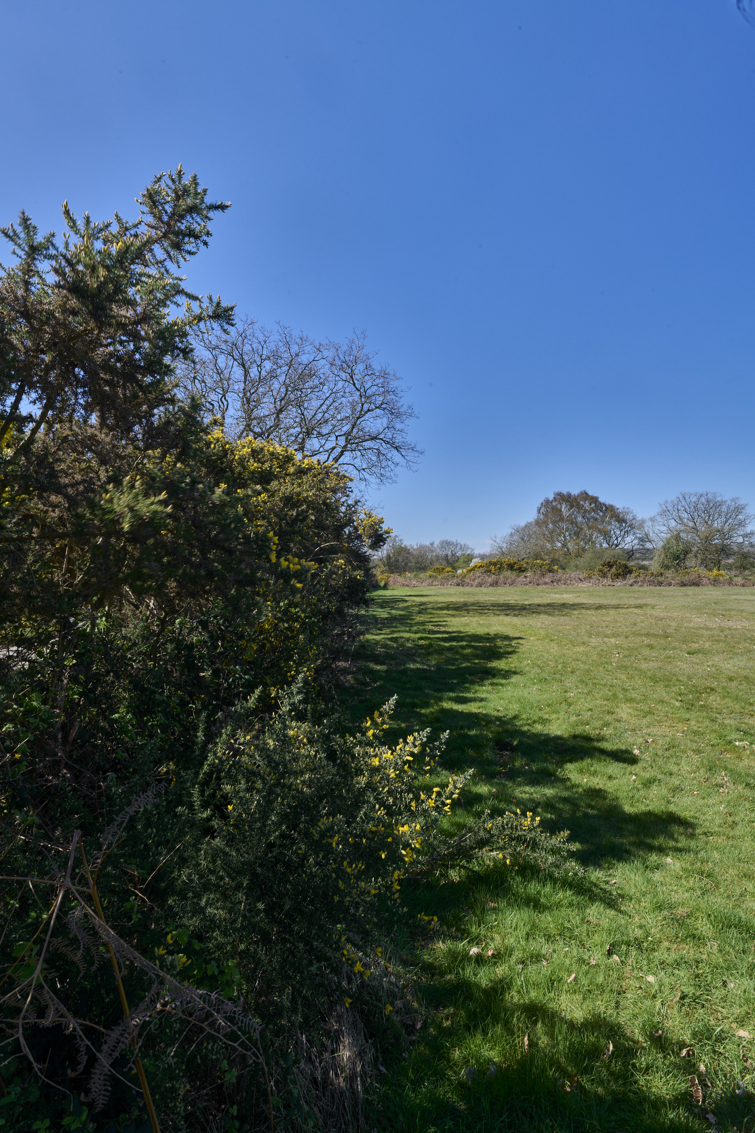 AbelHeath070426-2