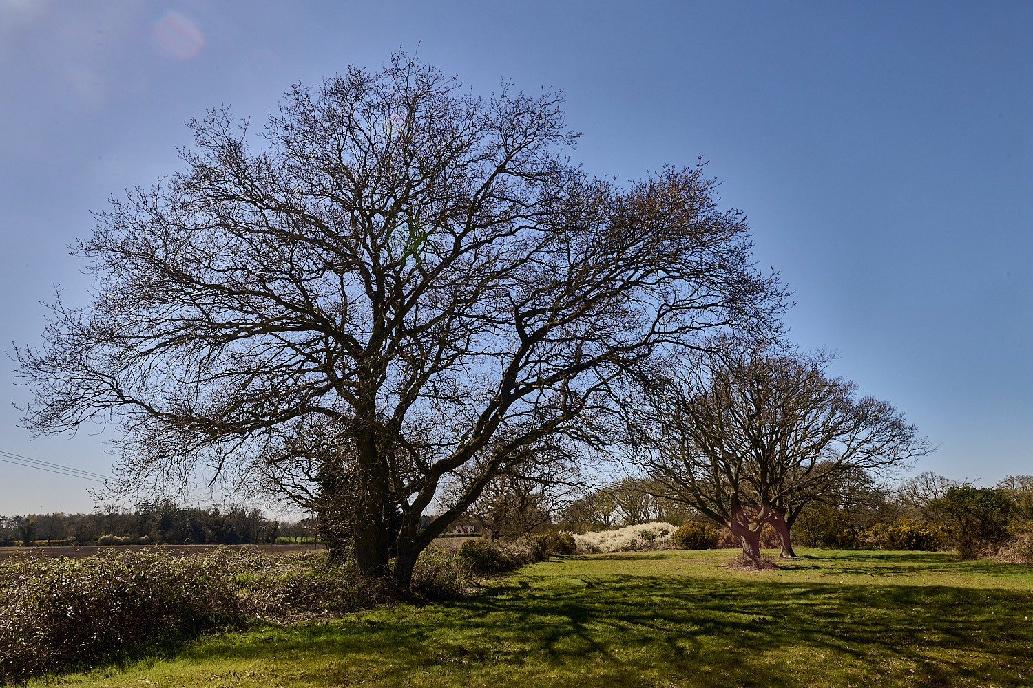 AbelHeath070426-3