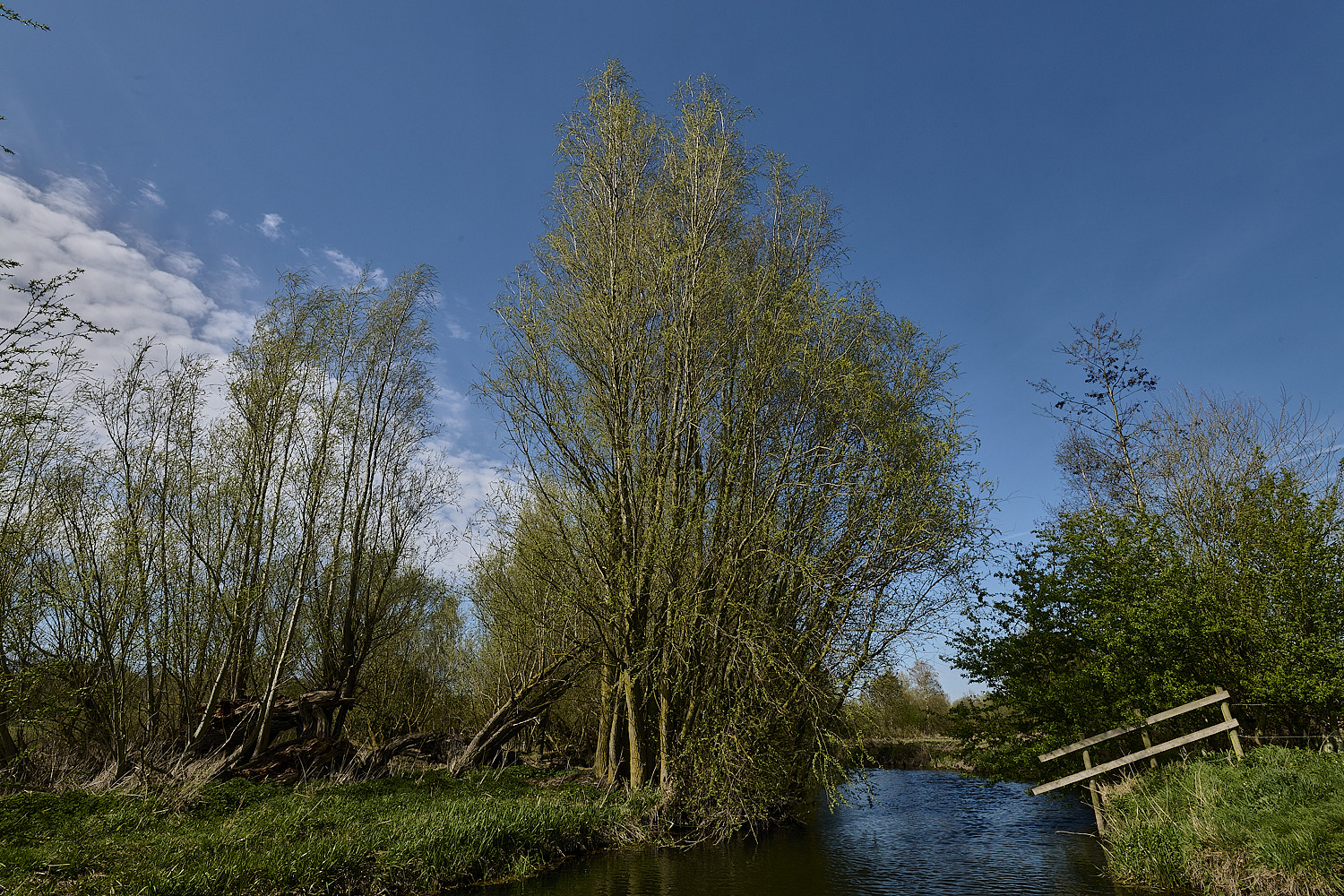 BowthorpeSouthernPark080426-2