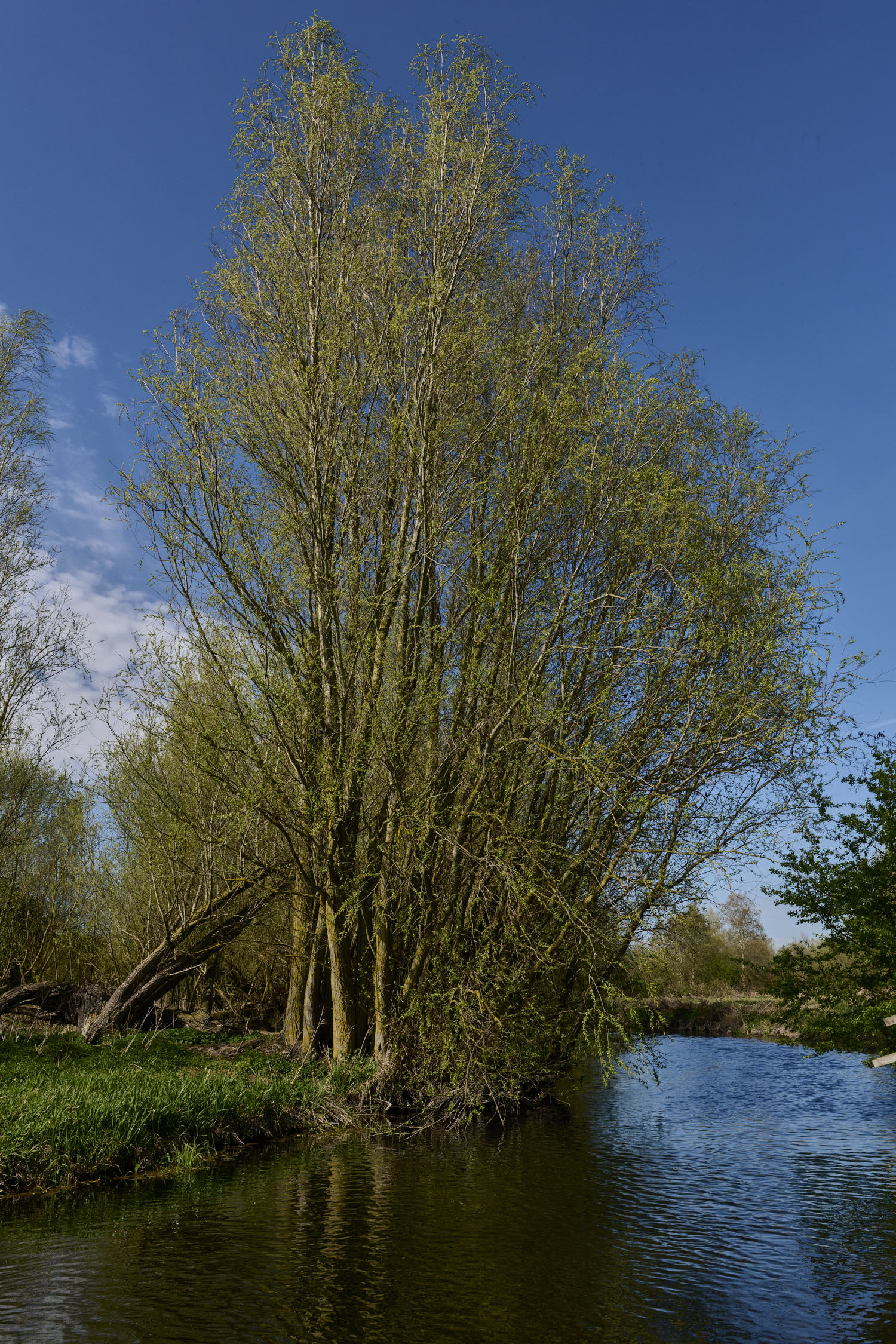 BowthorpeSouthernPark080426-3