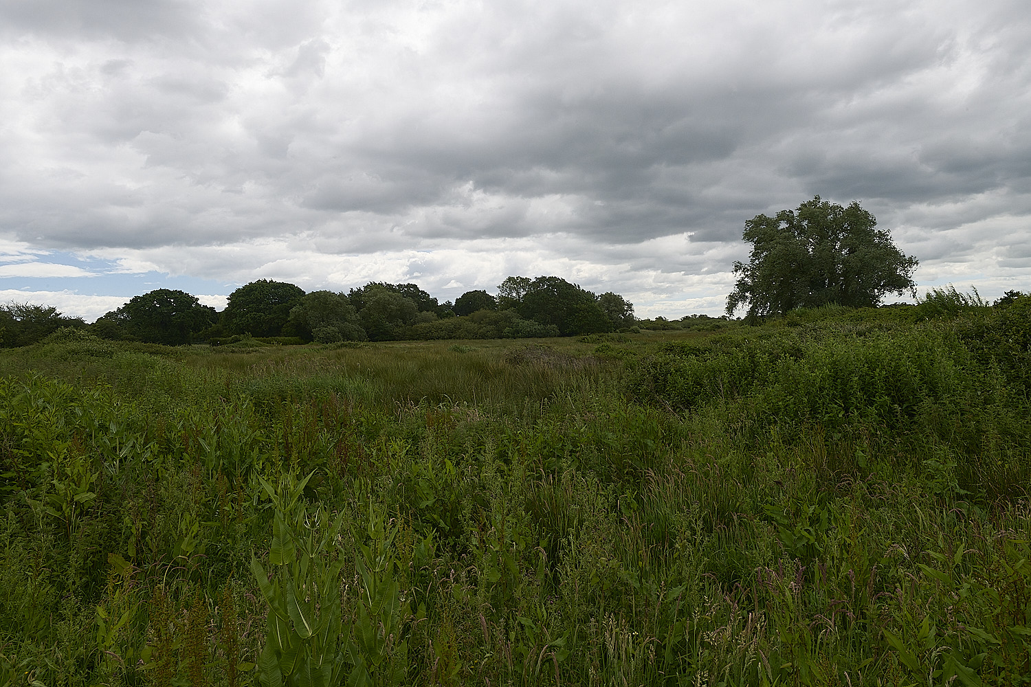 BurghCommon130626-1