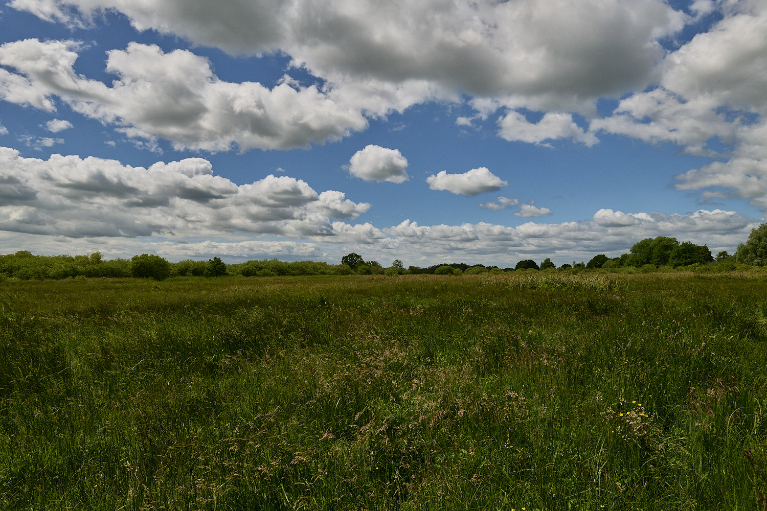 BurghCommon130626-2