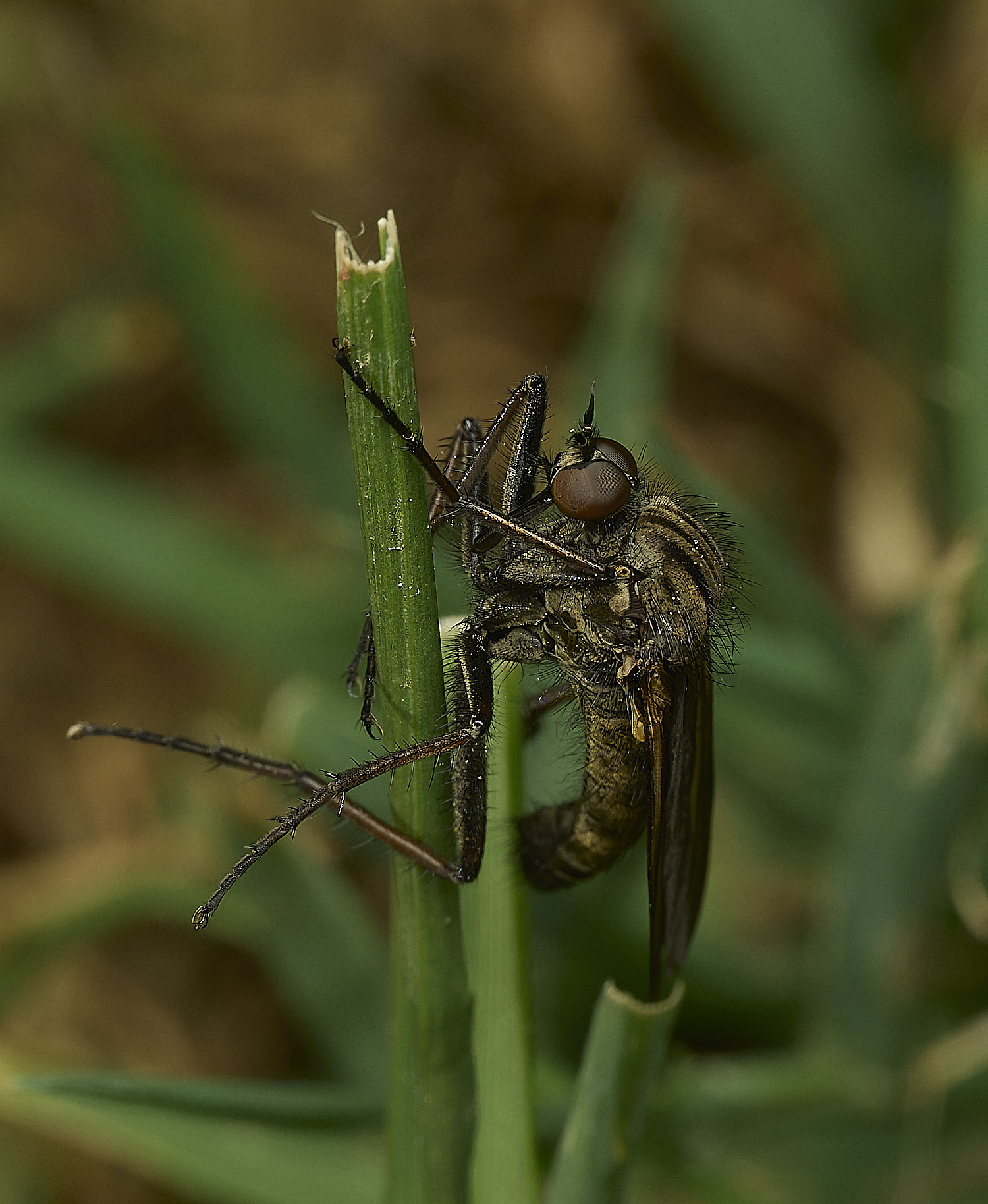 HanworthEmpis090526-2