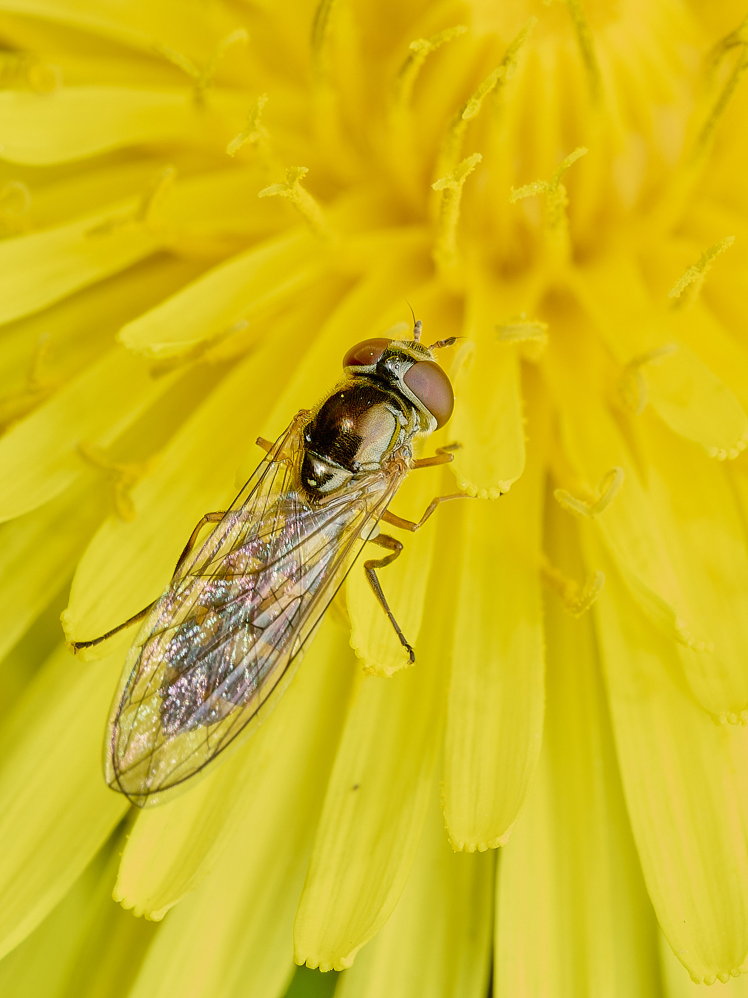 HanworthHover040426-1