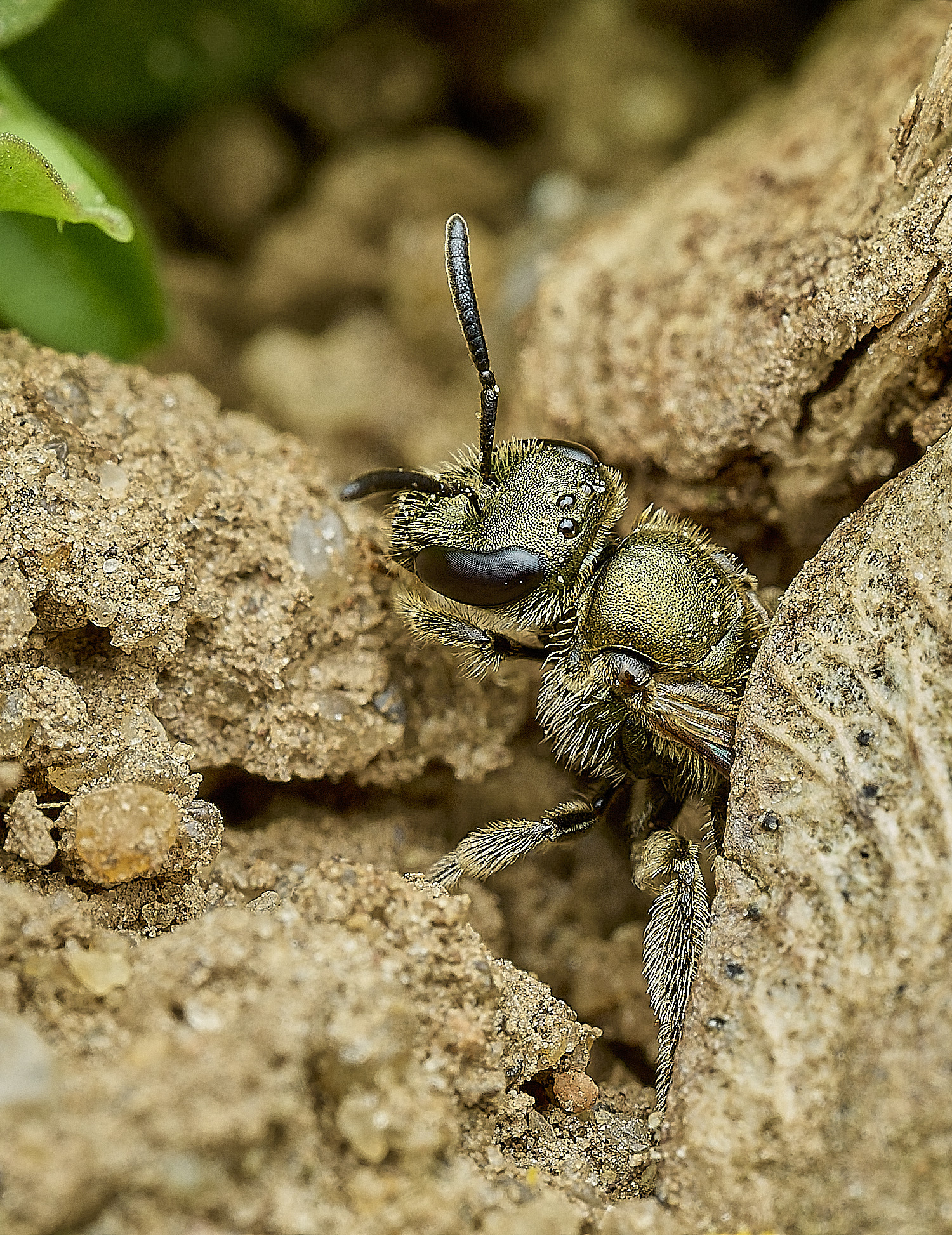 HanworthLmorio080426-2