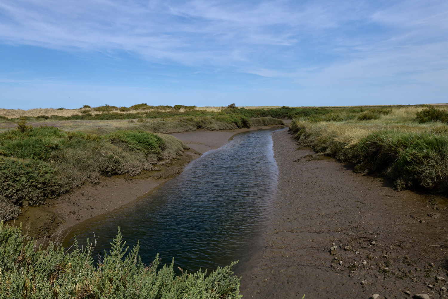 HolmeSaltMarsh080326-3