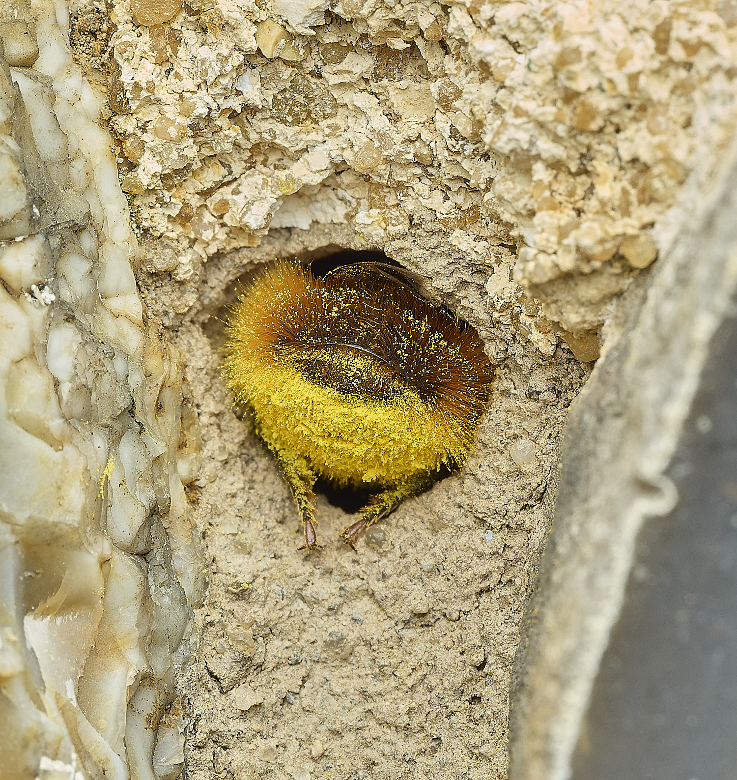 RanworthChurchOcornuta080426-1