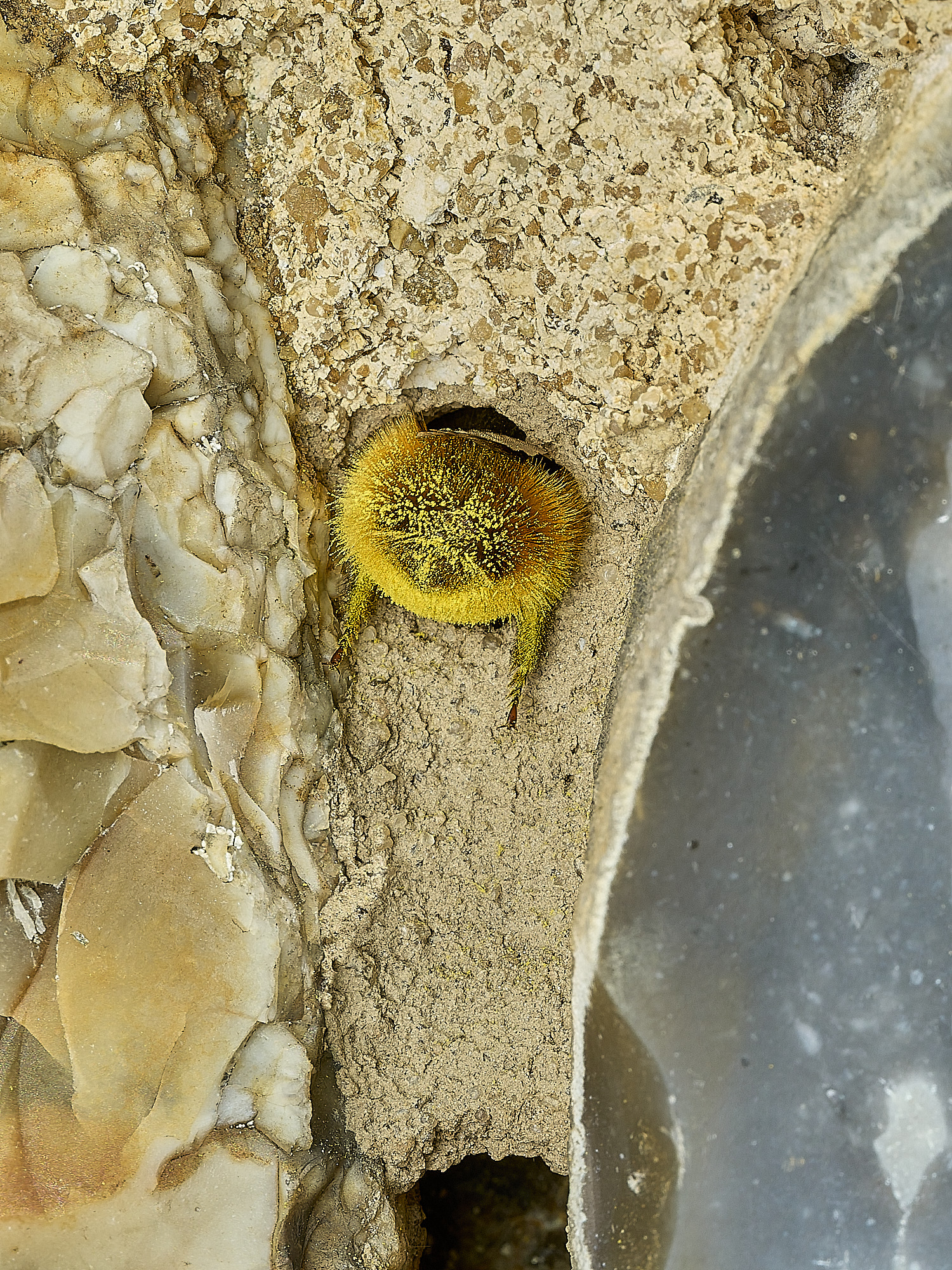 RanworthChurchOcornuta080426-12