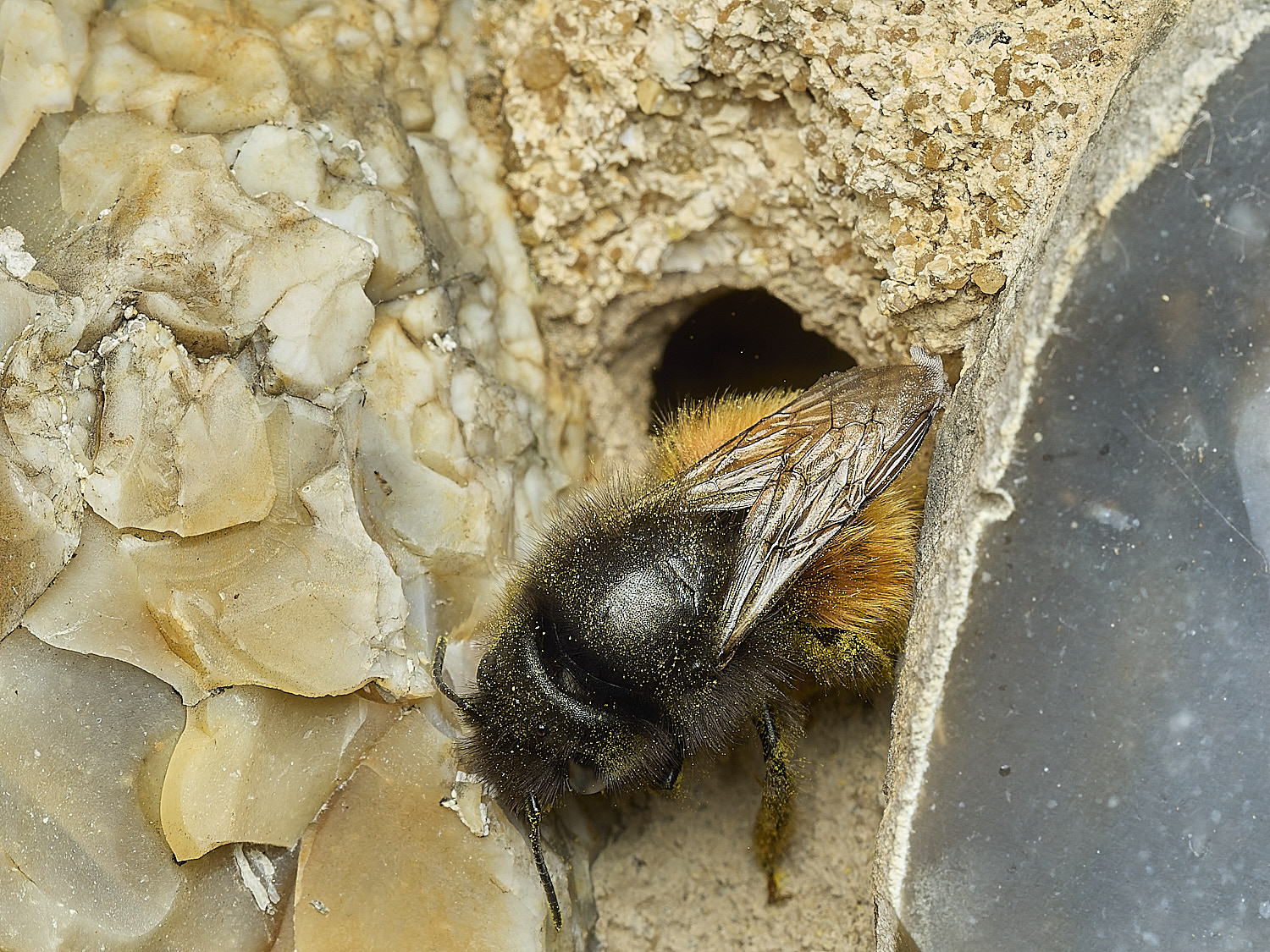 RanworthChurchOcornuta080426-2