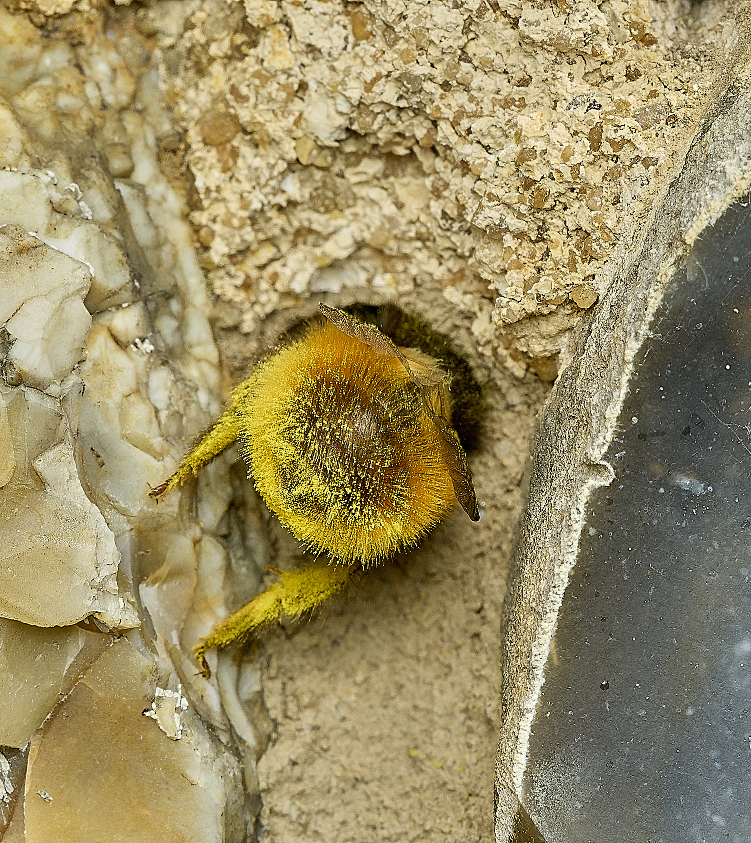 RanworthChurchOcornuta080426-4