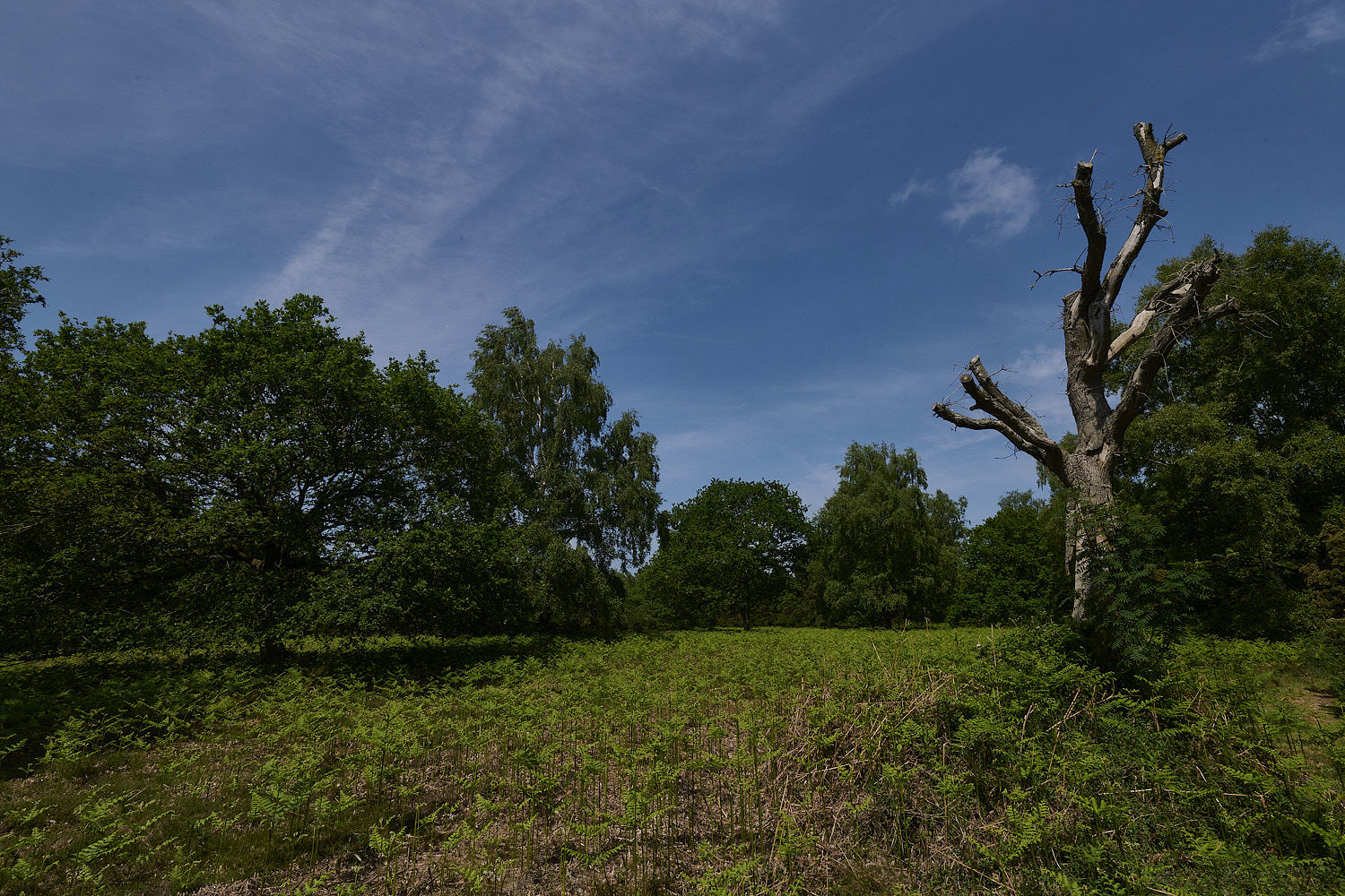 SalthouseHeath270526-1