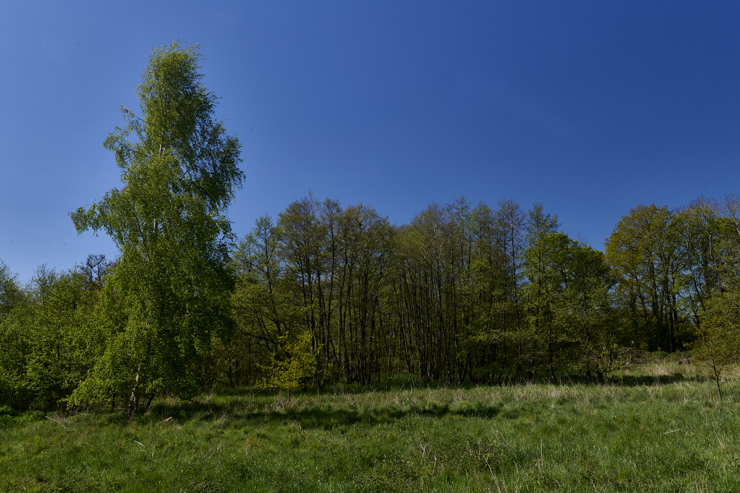 SotsholeBroad300426-1