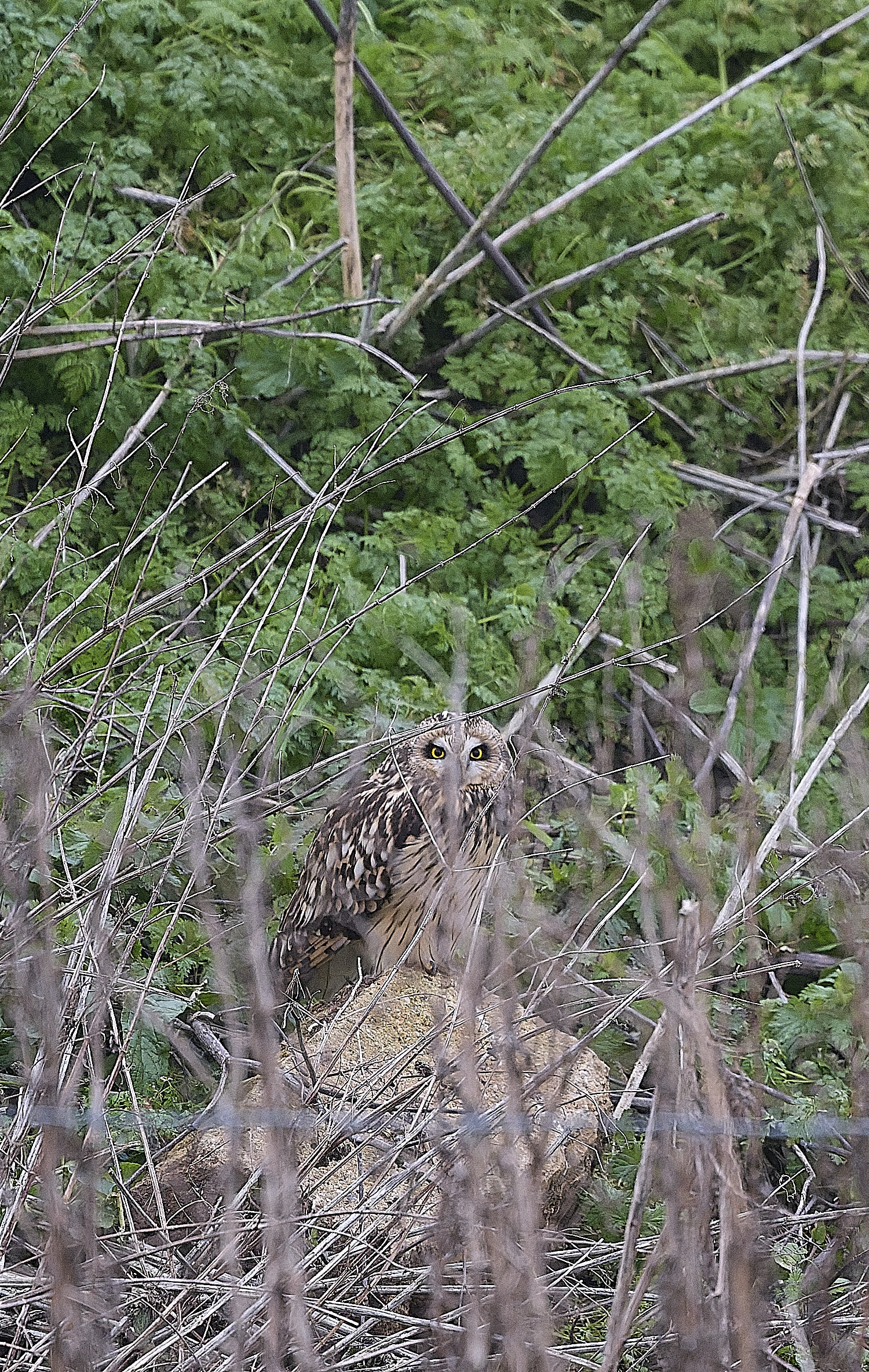 StBenet'sAbbeySEO080126-1 1