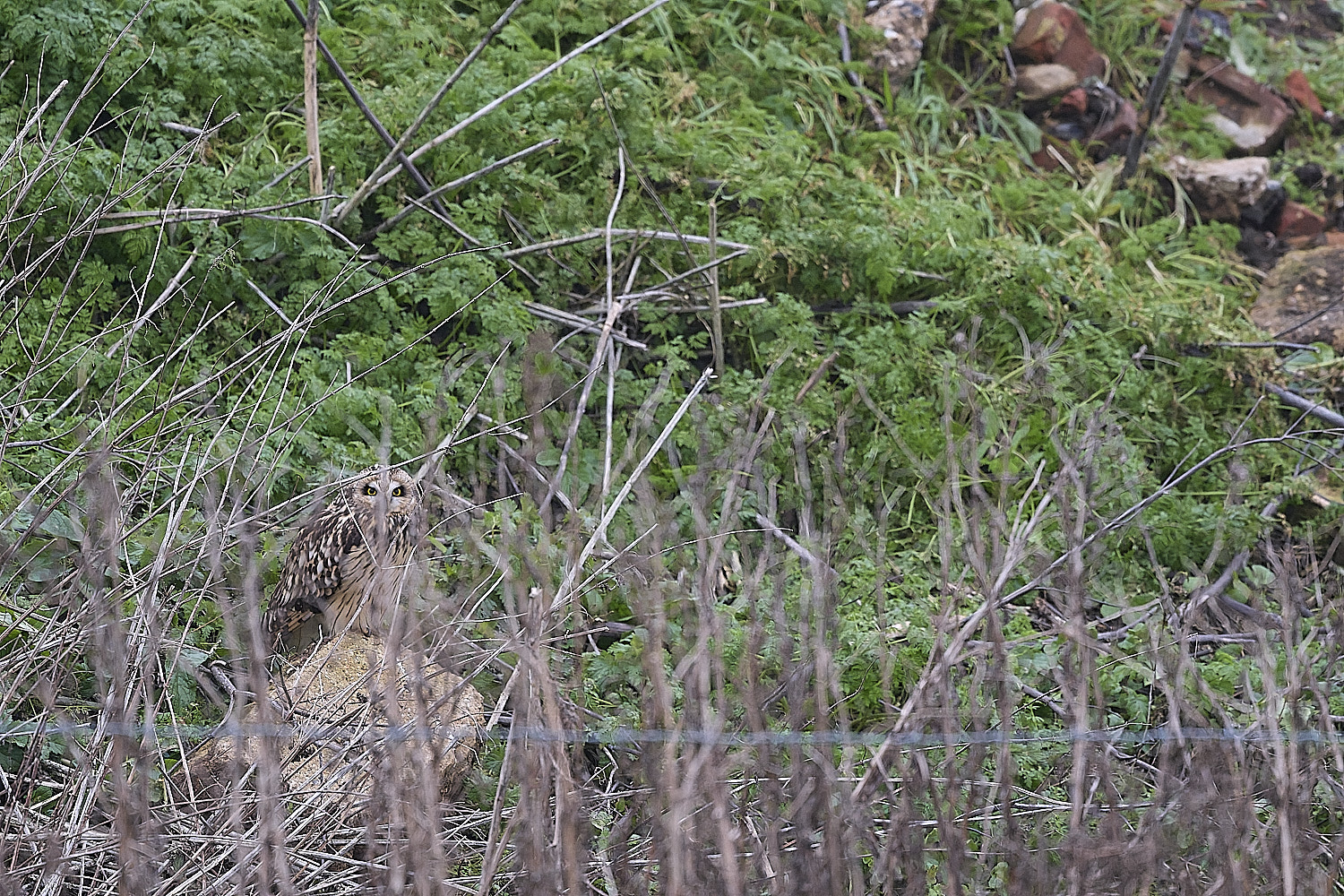 StBenet'sAbbeySEO080126-1