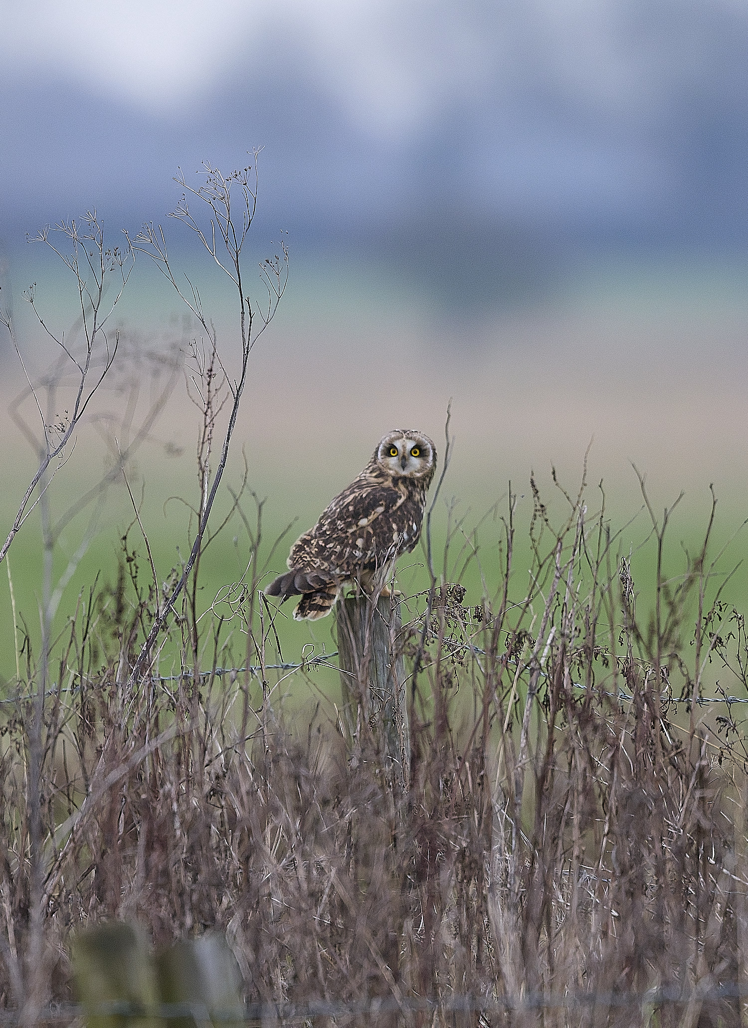 StBenet'sAbbeySEO080126-2 1