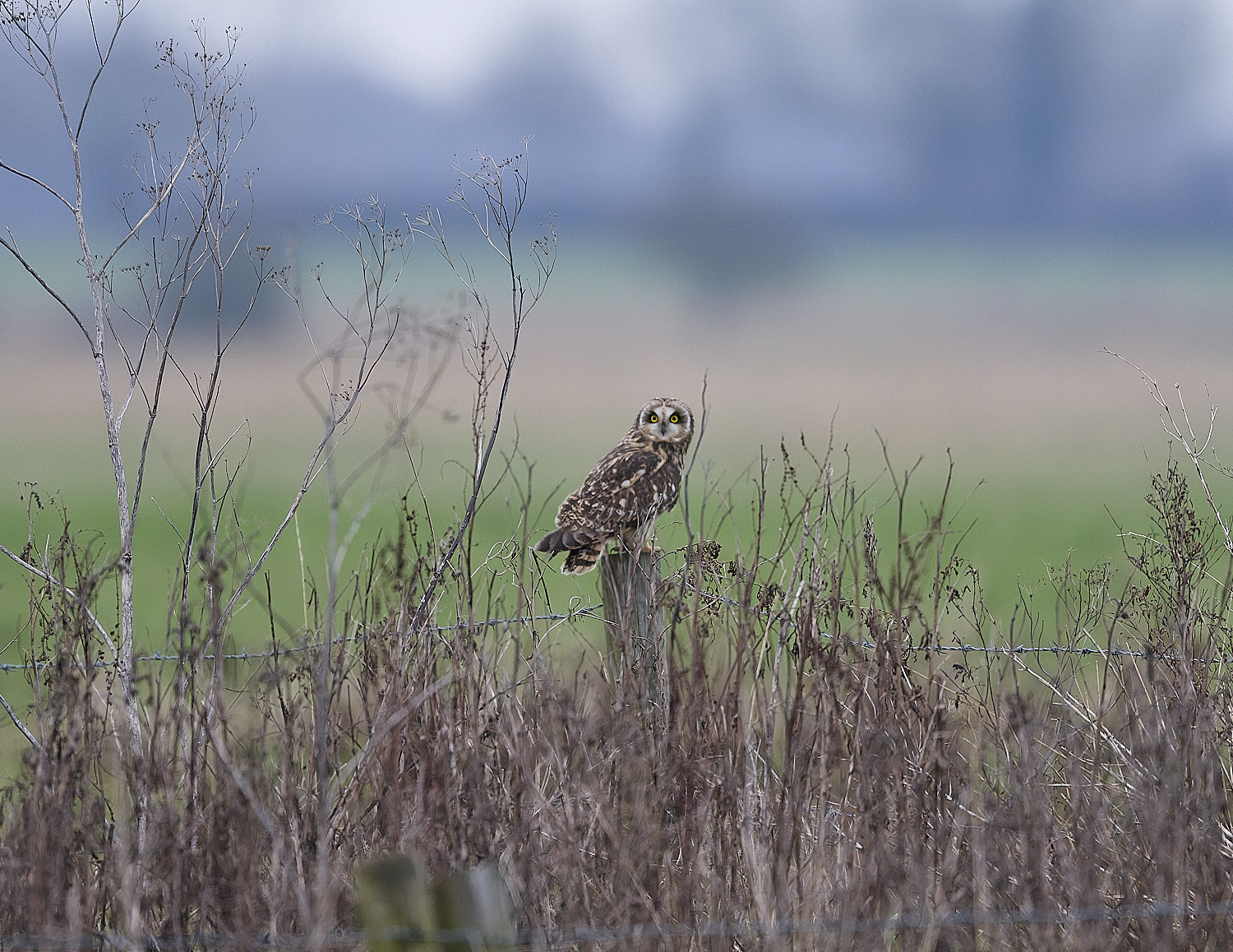 StBenet'sAbbeySEO080126-2