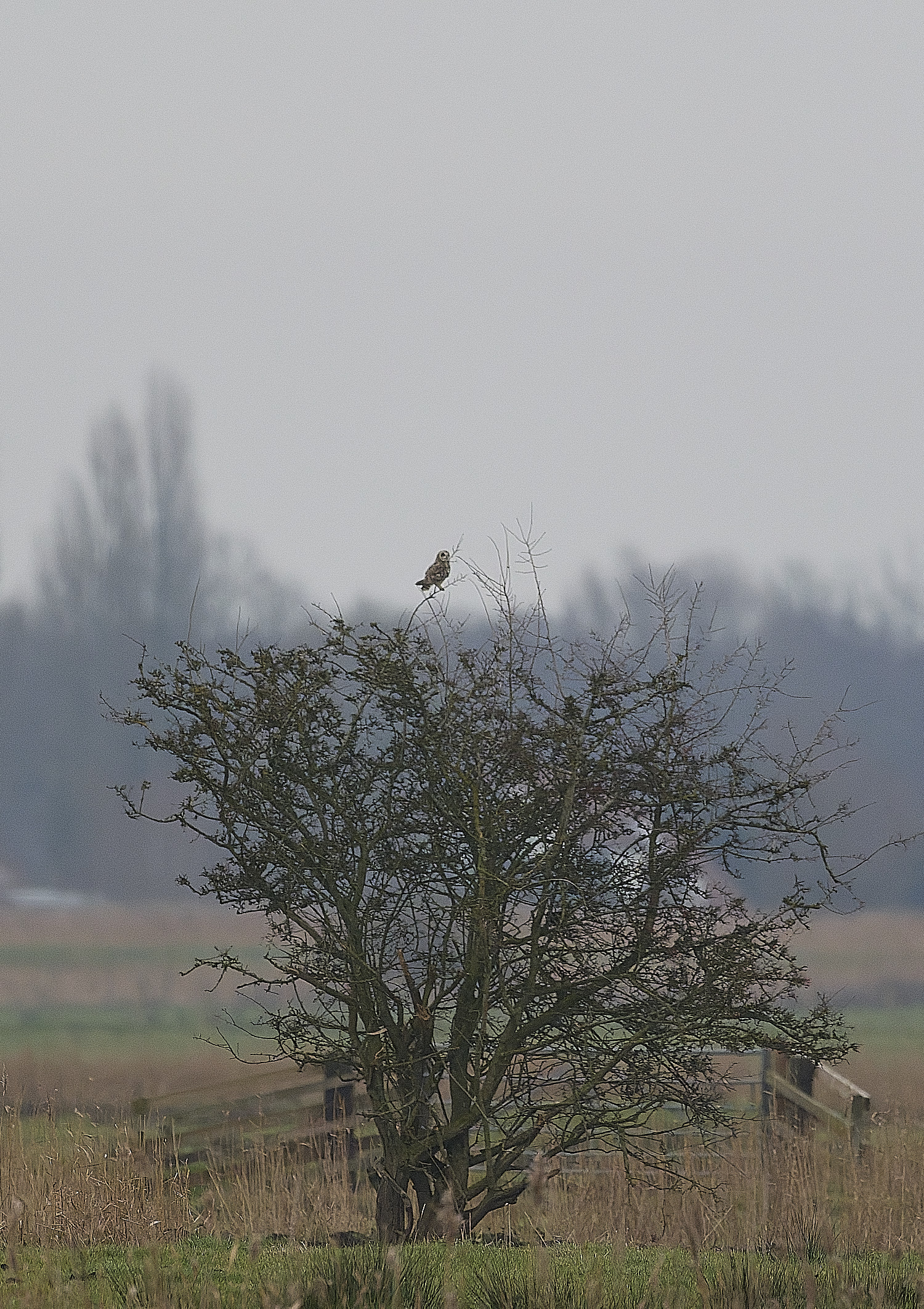 StBenet'sAbbeySEO080126-3 1