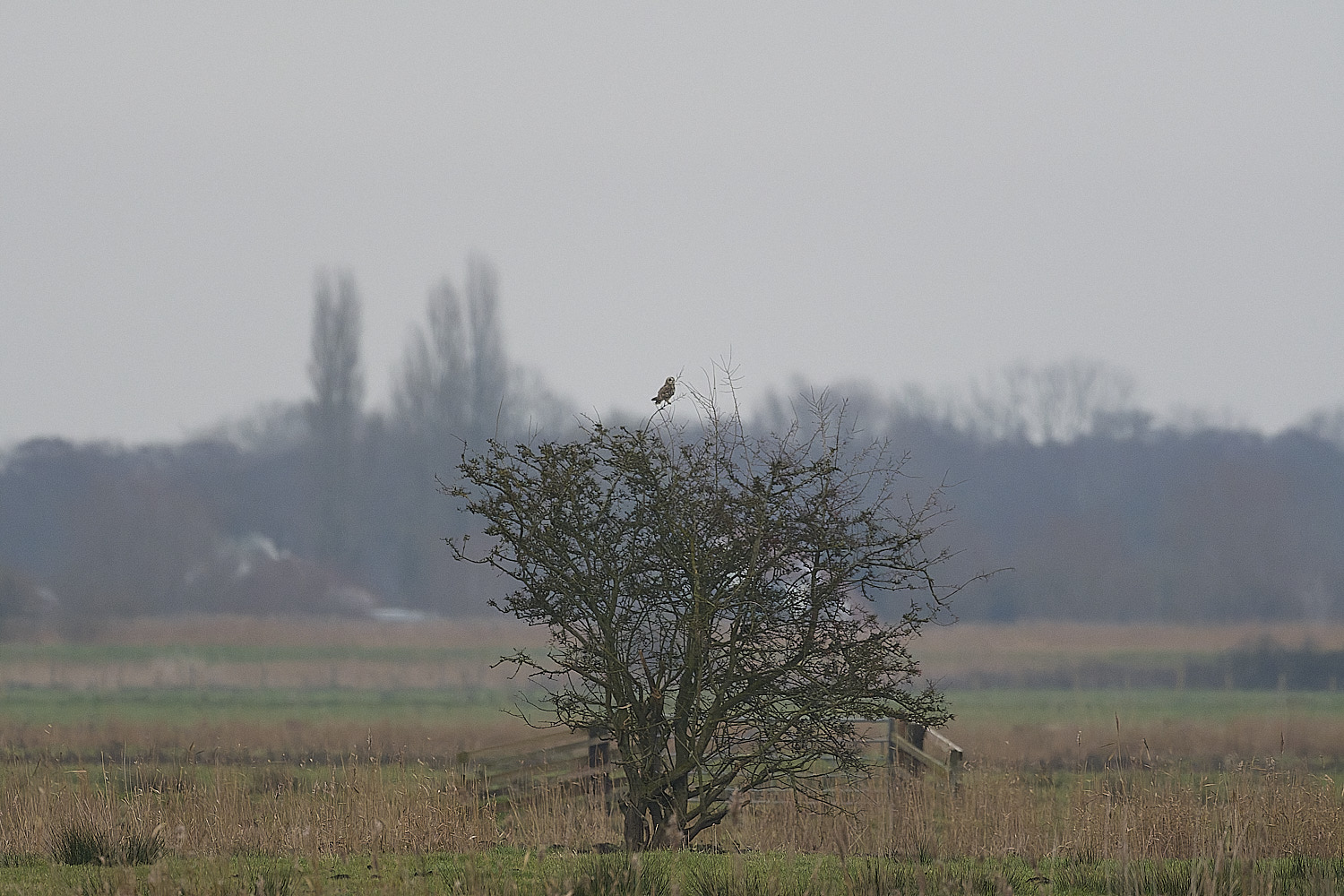 StBenet'sAbbeySEO080126-3