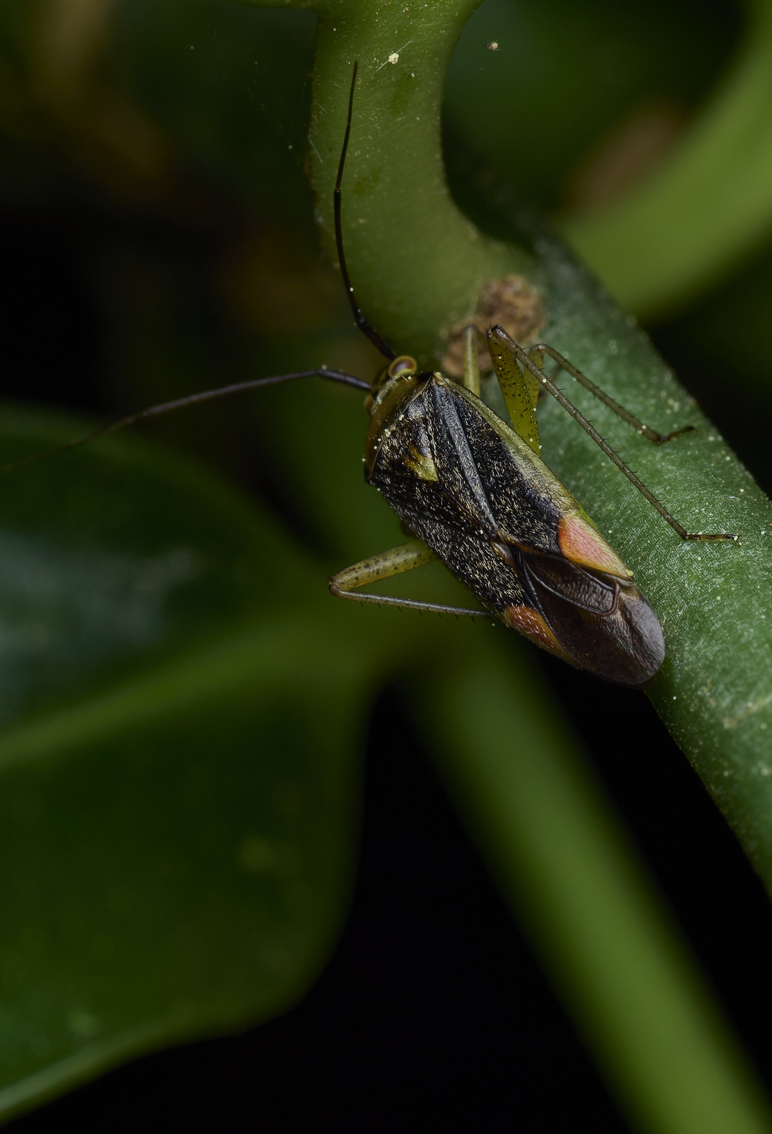 UpgateCommonBugSp300526-2