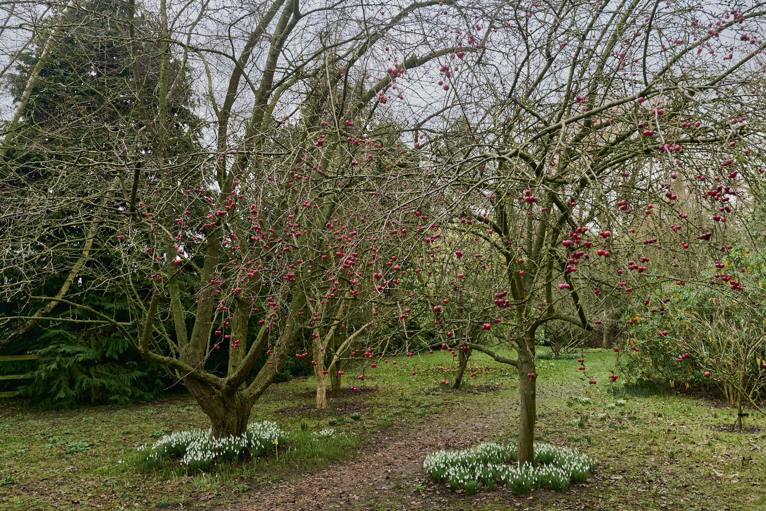 WestBeckhamMalus250126-0